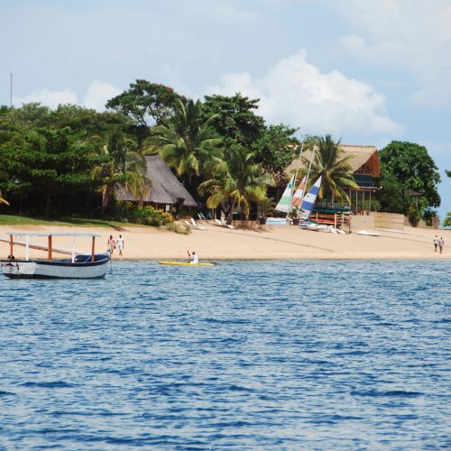 maria-zardoya-f8Vkuc6fXQA-unsplash maria-zardoya-f8Vkuc6fXQA-unsplash